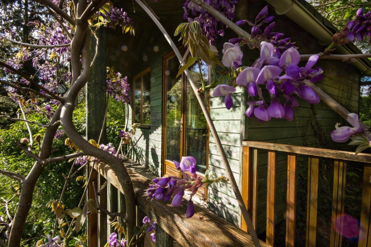 Bed and Breakfast Les Quatre Siecles Herce Exterior foto